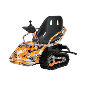 Maßgeschneidertes Jugend-Elektro-Trackbike 250W Doppelmotor Ein-Tasten-Start 5-Gang-Einstellung Freizeitpark-Unterhaltungs-Fahrrad - Product Image 1