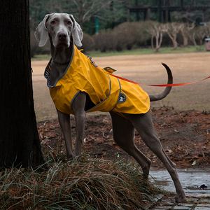 <span class=keywords><strong>Impermeabile</strong></span> personalizzato per cani da compagnia autunno e inverno giacca <span class=keywords><strong>impermeabile</strong></span> per cani da esterno cappotto per cani di taglia grande e media - Product Image 5