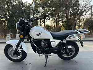 Hondaa Monkey <span class=keywords><strong>125</strong></span>, <span class=keywords><strong>mini</strong></span>-<span class=keywords><strong>moto</strong></span> de style rétro pour la ville, produit d'occasion, <span class=keywords><strong>moto</strong></span> d'occasion - Product Image 3