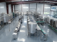 Industriële tropische fruit sap productielijn mango ananas fruitsap verwerkingsinstallatie ISO gecertificeerd betrouwbare prestaties