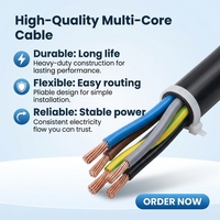 Cable de Cobre Libre de Oxígeno RVV 60227 IEC 53, Cable de Alimentación Eléctrica Multifilar Redondo Flexible con Revestimiento de PVC