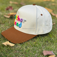 Casquette de baseball personnalisée avec logo brodé coloré, bicolore, 5 panneaux, visière incurvée réglable, casquette de camionneur