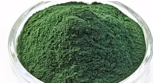 China Factory Supply Pure Natural Organic Feed Grade Spirulina Powder Can Be Used As Aquatic Feed