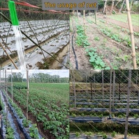 Filet de treillis de jardin ultra-résistant en plastique pour légumes et concombres, filet de soutien pour plantes grimpantes