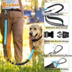 Hot Sale Reflective Hands Free Dog <strong>Leash</strong> Traction Rope Adjustable Hands Free Dog <strong>Leash</strong> with Adjustable <strong>Waist</strong> Belt - Product Image 6