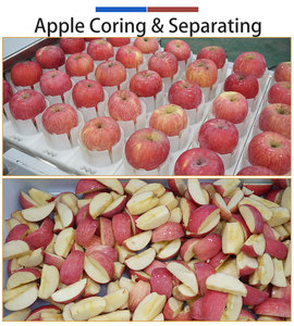 QH-T Green Jujube Apple Peach Pitting and Splitting <b>Machine</b> 9000pcs/h Food Grade <b>Stone</b> Fruit Coring <b>Cutting</b> <b>Machine</b> - Product Image 3