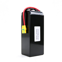 Batterie au lithium polymère personnalisée 33000mAh 22.2V 6S 732Wh pour drone agricole, d'inspection et de cartographie OEM ODM