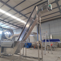 Automatische transportband luchtbellen bladgroente spuitreinigingsapparatuur fruit bubbelwasmachine tomaat appel wasmachine