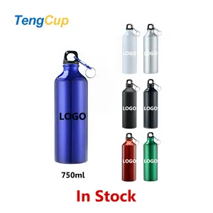 TY 750ml in stock Color Changing Custom Logo Printing Metal Aluminum Bike Sublimation Sports Water Bottle