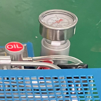 Compresseur sans huile TAHU à double efficacité, pompe à air de plongée 100L/min 300Bar, système d'air respiratoire portable refroidi par air pour la plongée sous-marine