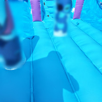 Toboggan gonflable professionnel 18oz en PVC, double piste, utilisation humide et sèche, idéal pour les fêtes et la location en extérieur, garantie 3 ans