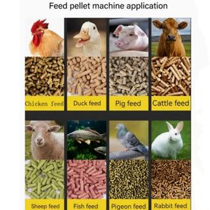 Nuovo prodotto 4 compressori macchina per mangimi animali mucca ovini macchina per Pellet di pollo - Product Image 6