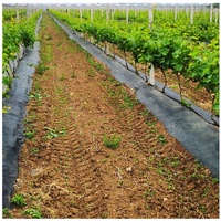 Toile tissée anti-mauvaises herbes, tapis de contrôle des adventices, barrière en tissu paysager, couverture de sol agricole