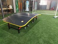Guan Xuan pour Teqball Player Table SMC extérieure étanche et résistante au soleil pour tables de football