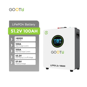 Gootu 100Ah 51.2V treo tường LiFePO4 pin lithium năng lượng mặt trời lưu trữ năng lượng pin với hiệu suất cao BMS - Product Image 1