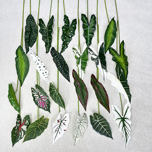 YOPIN-3504 Feuille d'<span class=keywords><strong>Arum</strong></span> Artificielle Simple Feuille De Taro Colorée Feuille De Bégonia Plante Verte Artificielle Nouveaux Produits - Product Image 1