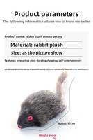 Jouet en peluche souris à la catnip, interactif, résistant aux morsures, avec pierre sonore pour l'amusement des chatons d'intérieur
