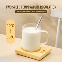 Chargeur de prise standard EU US UK électronique USB câble chauffe-tasse température constante tapis chaud coussin chauffant pour tasse à café