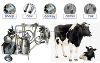 Machine à traire mobile à double alimentation diesel/essence-électrique avec seau en acier inoxydable et circuit de lait fermé