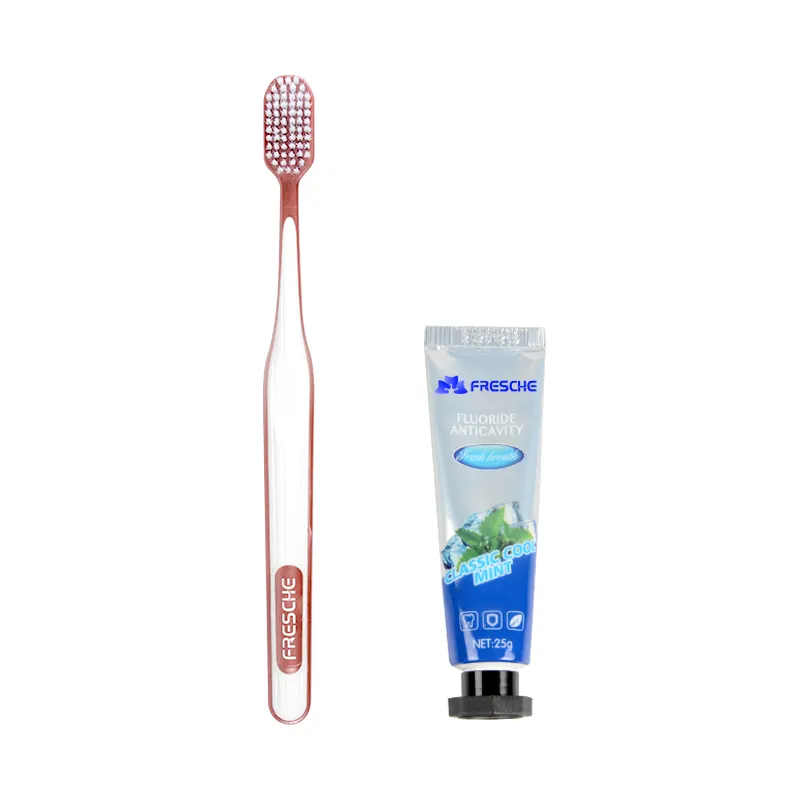 FRESCHE OEM toothbrush with toothpaste travel package in case