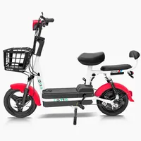 E-Bike 350W Vélo électrique 2 places Scooter électrique Vélo de ville électrique Vélo électrique avec batterie au plomb