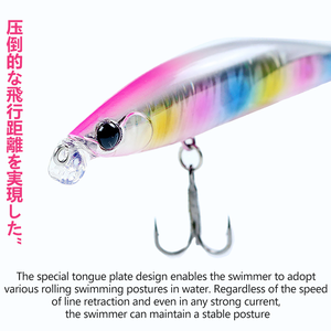 Señuelo <span class=keywords><strong>de</strong></span> superficie tipo Minnow <span class=keywords><strong>de</strong></span> 100 mm, <span class=keywords><strong>de</strong></span> lanzamiento largo y sumergible superficial, con sonajeros y acción irregular <span class=keywords><strong>para</strong></span> lubina y lucio, crankbait flotante <span class=keywords><strong>para</strong></span> corrientes. - Product Image 2