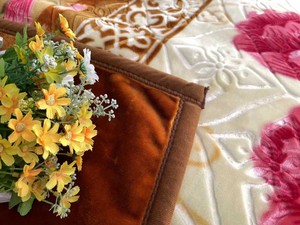 Ply Bộ Gối In Họa Tiết Lông Chồn 100Polyester 75X100Cm Một Mặt Chăn Raschel Du Lịch - Product Image 2