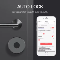 Cylindre de serrure de porte intelligent avec télécommande Ttlock Tuya Serrure de porte intelligente sans fil standard européen