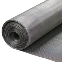 Grille filtrante en treillis métallique en acier inoxydable personnalisée, tissage sergé simple, norme GB 316, maille de protection