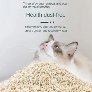 Arena para Gatos Instantánea Natural de Fibra de Guisante Orgánica Directa de Fábrica QINSHAN OEM - Product Image 6