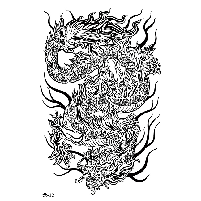 Dragon-12