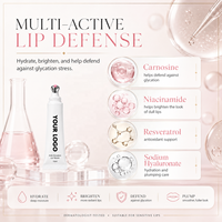 Baume à lèvres brillant, gloss à lèvres longue tenue, hydratant, gloss à lèvres, 15 ml, soin des lèvres, vegan, anti-glycation, sérum pour les lèvres, 5 couleurs