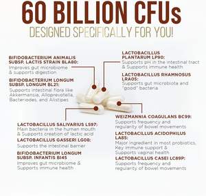 Cápsulas Probióticas Bien Diseñadas, Cápsulas de Lactobacillus para la Salud Digestiva, Cápsulas de Prebióticos y Probióticos para el Apoyo Inmunológico - Product Image 5