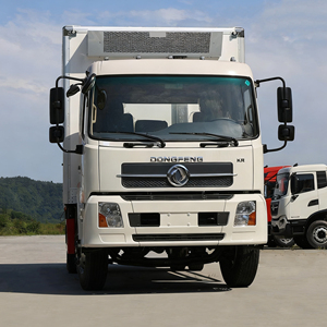 Camion frigorifique Dongfeng 4x2 personnalisé, nouveau, conduite à gauche/droite, petite caisse, 10 tonnes - Product Image 3