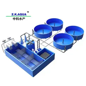 Aquaculture ras system sturgeon indoor fish farming equipment