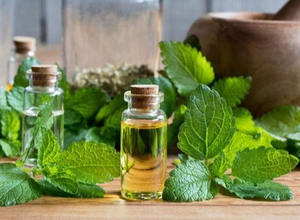 アロマセラピー用レモンバームエキス100% ピュアナチュラルメリッサエッセンシャルオイル - Product Image 2