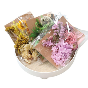 Vente en gros pas cher prix bricolage fleurs sèches matériel sac réel naturel séché eucalyptus bougie parfumée faisant Nail Art cadre photo - Product Image 4