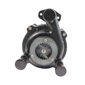 Pompe de vidange automatique, pour affûtage de canalisations, toilettes, en fonte - Product Image 2