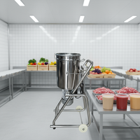 Broyeur en acier inoxydable Hongxin pour la pulpe, machine à écraser les tomates et l'ail, moteur 1800W, capacité 55KG, usage intensif pour la transformation alimentaire