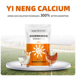 การรักษาแคลเซียมเสริมสัตว์สำหรับความเสียหายของเยื่อเมือกในทางเดินหายใจและลำไส้ที่เกิดจากโรคต่างๆ - Product Image 2