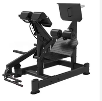 Machine de musculation multifonctionnelle professionnelle à charge libre pour la gym, double 45, pour extensions de hanches et développement des fessiers