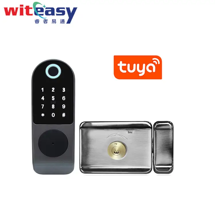 Sistem kontrol akses pintu, sidik jari, kartu RFID, pengontrol Akses Wifi, kunci pintu Tuya