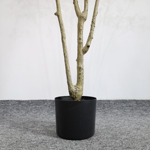 Nouvel Arbre Artificiel de <span class=keywords><strong>Toona</strong></span> 2026 avec Feuilles Réalistes, Faux Arbre d'Intérieur/Extérieur pour la Décoration de la Maison, du Bureau, du Salon, de la Chambre et du Porche - Product Image 6
