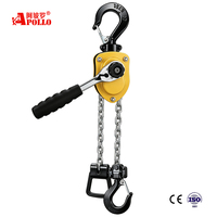 Palans à levier manuels APOLLO 750 kg 1,5 m avec élingue à chaîne, protection IP55 pour la construction et le levage de charges