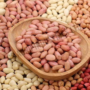 Núcleo de cacahuete Natural y sin procesar de alta calidad Ideal para hornear aperitivos y agregar valor nutritivo al uso diario de comidas - Product Image 4