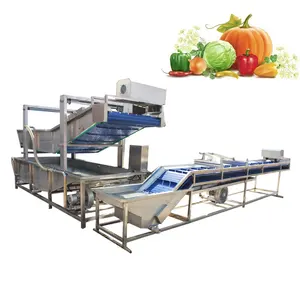 Commercial Bubble Parsley Vegetable Cleaning Equipment Celantro Lettuce Leek Celery Washing Machine