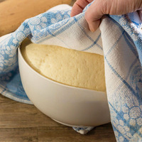Levain sec instantané 2-en-1 de haute qualité, personnalisé pour votre marque, faible en sucre, certifié HALAL/HACCP/ISO