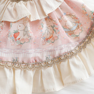 Vestiti <span class=keywords><strong>per</strong></span> cani primavera estate vestito da principessa gatto lusso lolita abito <span class=keywords><strong>per</strong></span> coniglio piccolo cane pet - Product Image 3