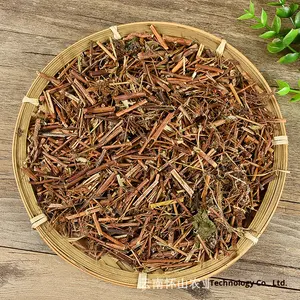 Hovenia Dalmatiana Petite Moonflower Hovenia Jinyingxiao Jaune Tour Mille Couches Séchées En Gros Dropshipping - Product Image 4