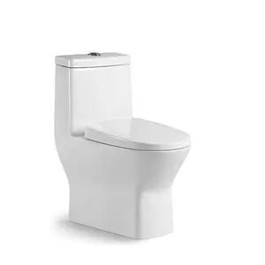 衛生陶器サイフォニックSトラップWcセラミックワンピーストイレ浴室